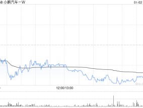 小鹏汽车-W2024年全年总交付量达到19万辆 同比增长34%