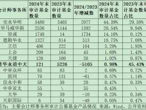 公募基金审计市场格局巨变：普华永道市占率从45%降至1%，容诚、立信、上会、天健等市占率大幅提升