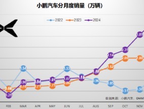 完美收官：2024年12月汽车销量点评