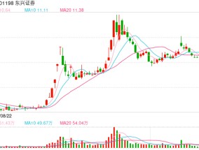 首家券商年度业绩预告报喜！东兴证券预计去年净利润同比增长超七成