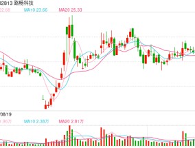 路畅科技*ST风险高悬：实控人套现14亿离场 重组吃相难看终流产、中联重科重金换来"烫手山芋"