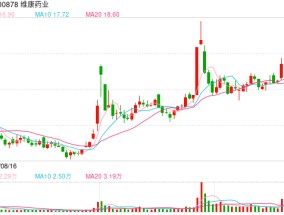 维康药业回应被立案：实控人存在资金占用问题