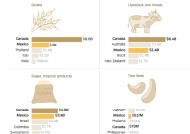 对墨西哥和加拿大商品征收25%关税 这些领域受冲击最大