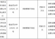 农业银行砀山县支行被罚30万元：因贷款管理不到位