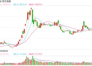 快讯：恒指高开0.45% 科指涨0.67%科网股、汽车股普涨