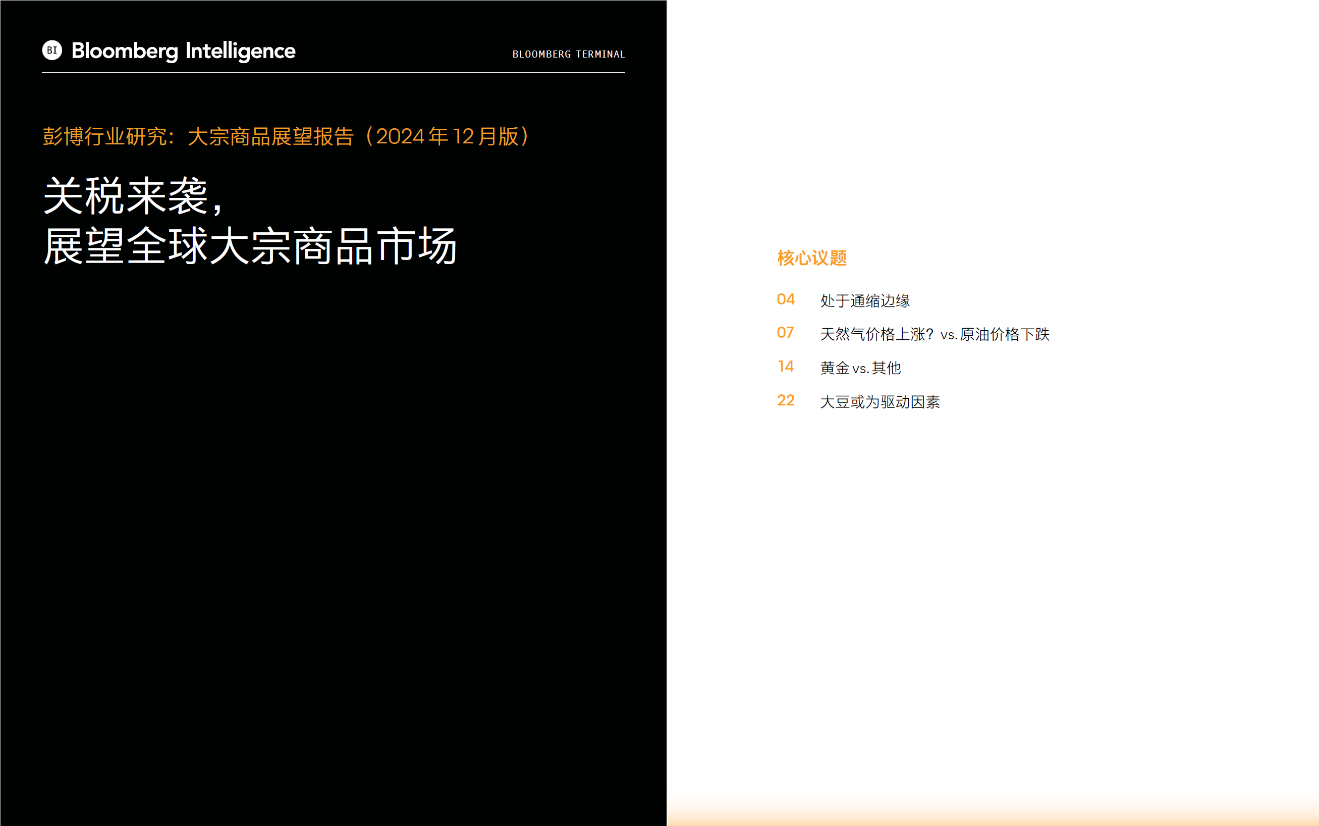 展望2025，金价将攀升至3000美元？面临哪些阻力？