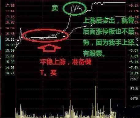 A股有哪些值得长期持有的股票？近阶段A股业绩最为优秀的20只白马龙头股，或将涨成“千倍股”