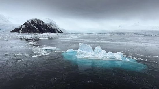 “没赔偿，感觉很亏”！数百人滞留南极，一大半是中国人！有游客称一行人多花20万元