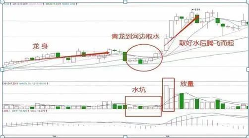 巴菲特点破A股市场：最具价值投资的7只行业龙头股名单一览，谁会是下一只“千倍股”?